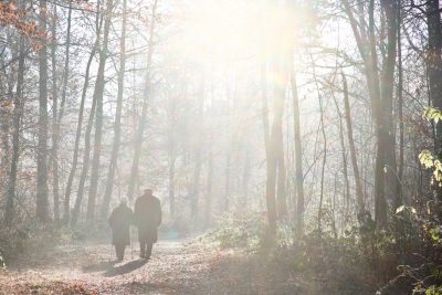 Altes Paar geht im Wald spazieren