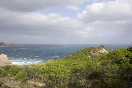 an der Küste an der Küste