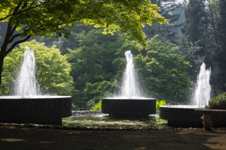 20190501-fbg_B1C9674