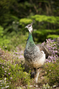 20190501-fbg_B1C9684