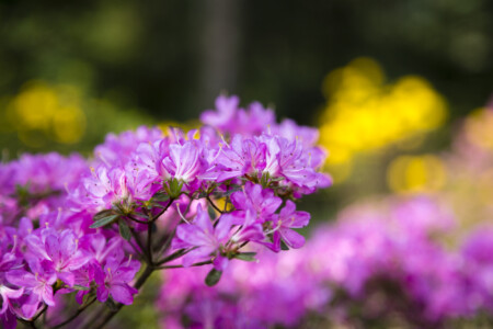 20190501-fbg_B1C9691