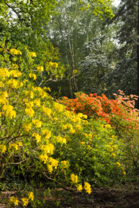 20190501-fbg_B1C9697