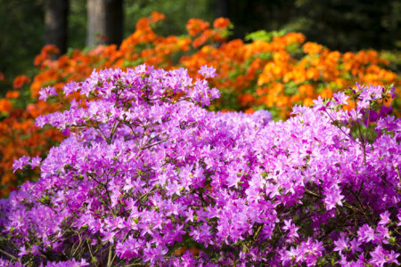 20190501-fbg_B1C9701