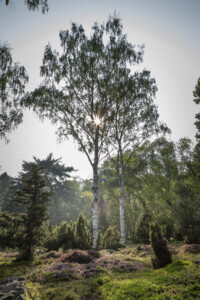 20190501-fbg_B1C9709