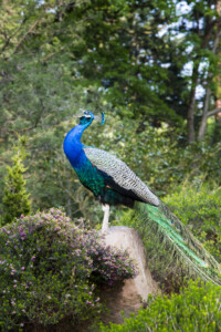 20190501-fbg_B1C9730