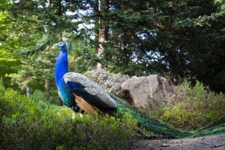 20190501-fbg_B1C9747