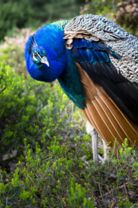 20190501-fbg_B1C9763