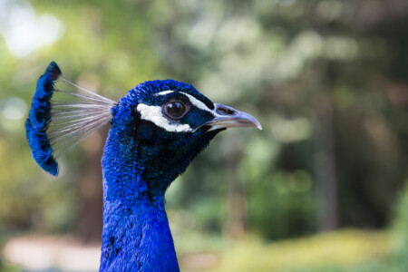 20190501-fbg_B1C9785