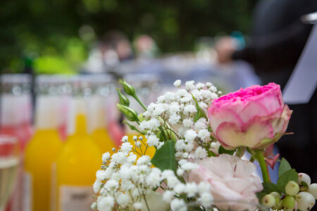 Blumenstrauß vor gefüllten Gläsern An der Cocktailbar