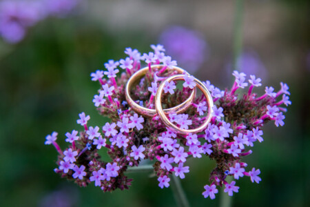 SandraJonas_20150829_59A3728_SH