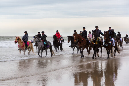 Abkühlung für die Hufe