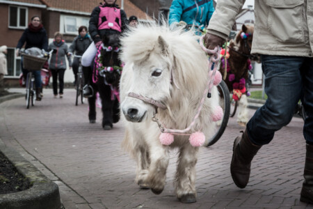 Auch die Kleinsten sind dabei