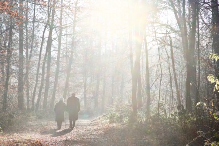 Altes Paar geht im Wald spazieren Zeit
