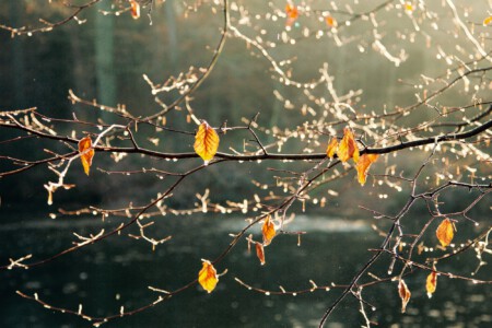 Gefrorene Tropfen im Licht Gefrorene Tropfen im Licht